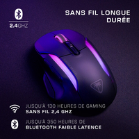 Turtle Beach 21