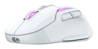 Turtle Beach 10