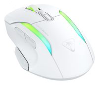 Turtle Beach 11