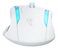 Turtle Beach 12