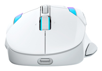 Turtle Beach 13