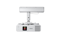 Epson 19