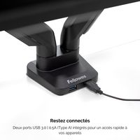 Fellowes Platinumseries Doppel 12