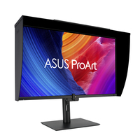 Asus 17