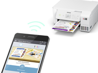 Epson 17