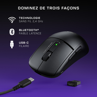 Turtle Beach 19