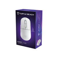 Turtle Beach 10