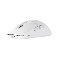 Turtle Beach 13