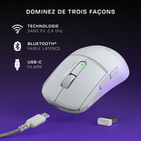 Turtle Beach 19
