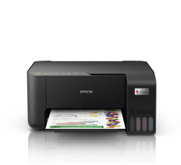 Epson 10