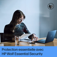 Hp 6