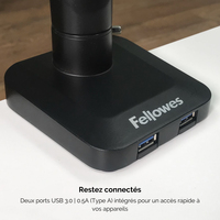 Fellowes 13