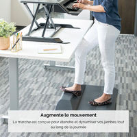 Fellowes 10