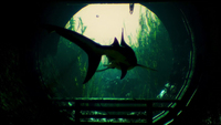 Deep Silver 2
