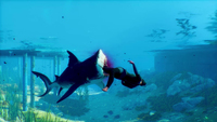 Deep Silver 8