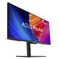 Asus Monitor 13