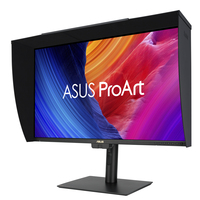 Asus Monitor 15