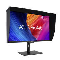 Asus Monitor 17
