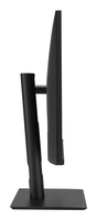 Asus Monitor 9