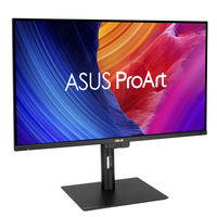 Asus Monitor 12