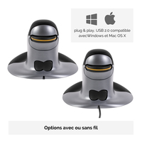 Fellowes 10