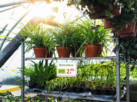 Durable Plakattasche Wasserdicht A5 Mit Kabelbinder 5 Stk 2