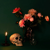 Dressing Up & Costumes 2