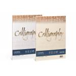 Cartoncini Generici Con Busta E Big - Cf25buste Canvas 12x18 100gr Bianco