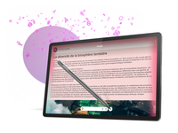 Lenovo Consumer 12