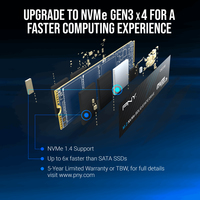 Pny Technologies 11