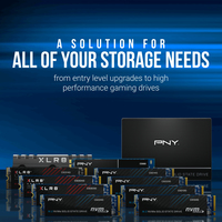 Pny 1