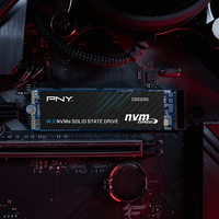 Pny 5