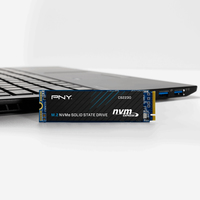 Pny 6