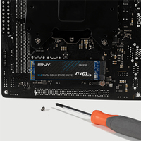 Pny 7