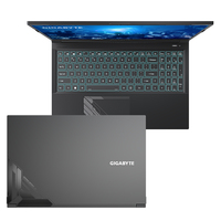Gigabyte 1