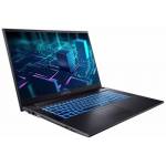 Captiva - Notebook Power Starter I76-072 i7-1255U (17.3, 8GB, 250GB SSD, Intel UHD Graphics, DVD-RW, w/o OS) (76072) [DE-Version, German Keyboard]