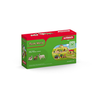 Schleich 2