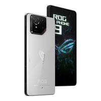 Asus 17