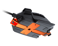 Cougar 6
