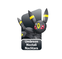 Pokemon 3