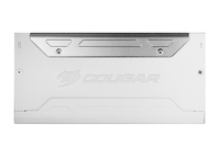 Cougar 6