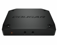 Cougar 1