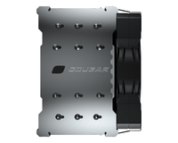 Cougar 4