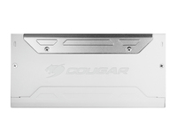 Cougar 4