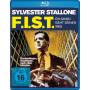 F. I. S. T. -Ein Mann Geht Seine - F.i.s.t. - Ein Mann Geht Seine [DE-Version, Regio 2/B]