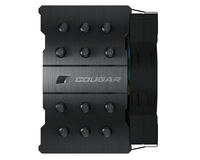 Cougar 4