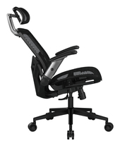Cougar 10