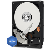 Wd 11