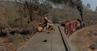 Dvd 4