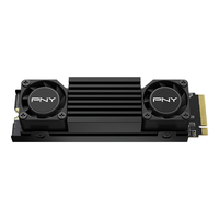 Pny Technologies 1